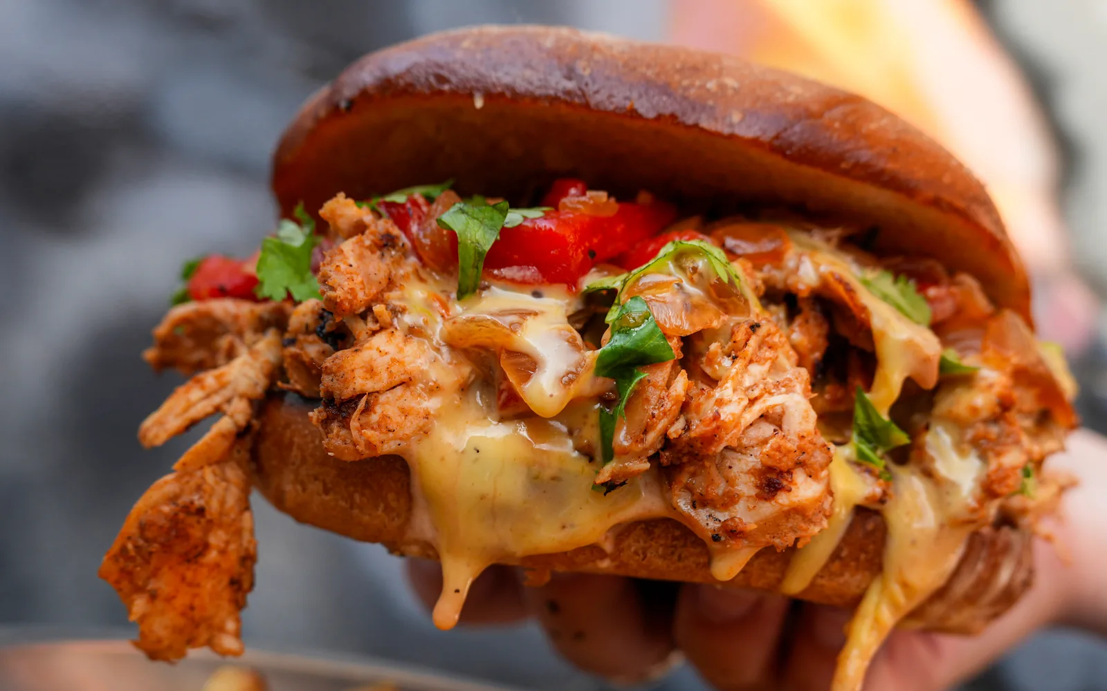 Smoked Chicken Hatch Chile Cheesesteak, pulled smoked chicken with Hatch chile queso, roasted red peppers and cilantro on a telera roll, held over fries