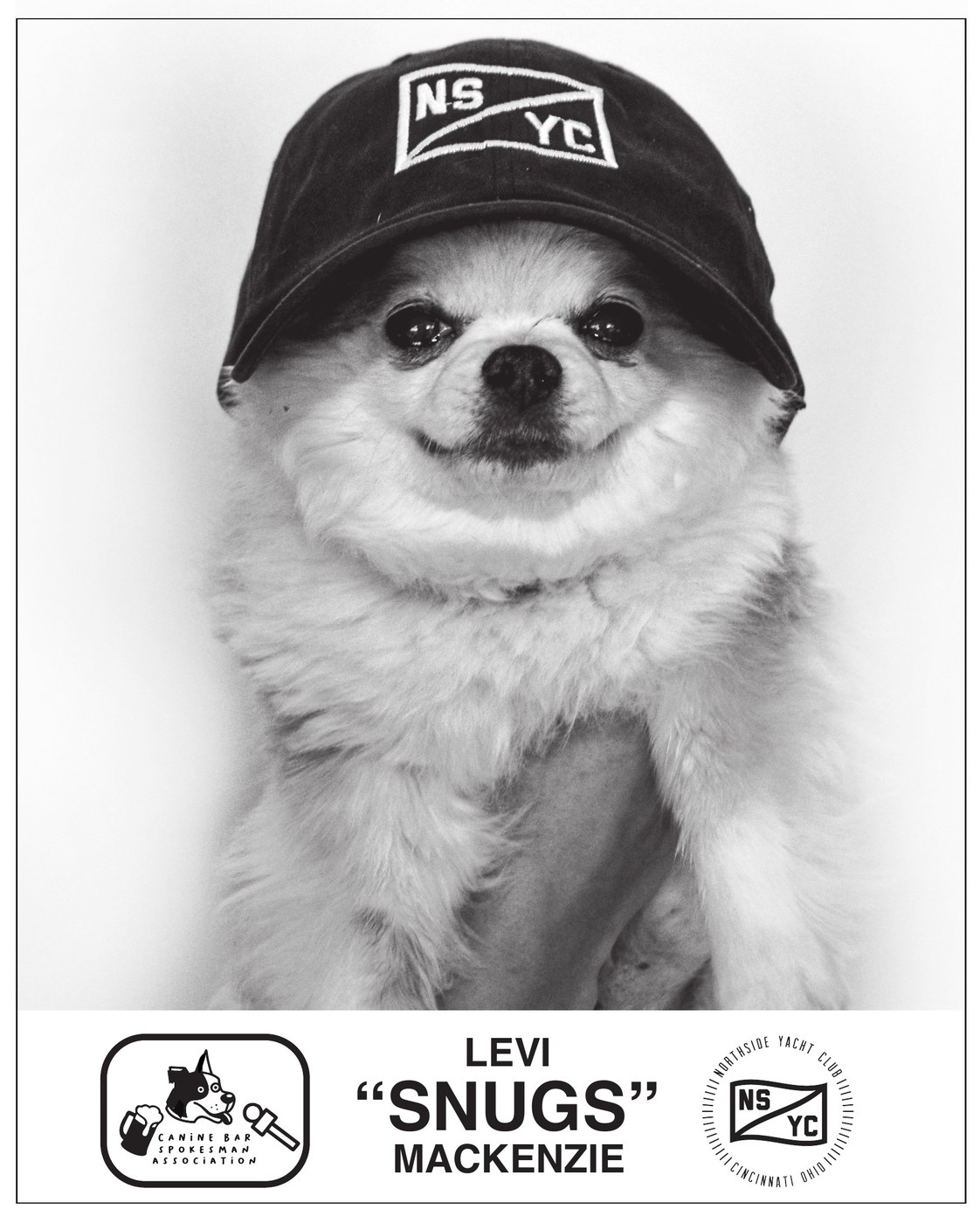Levi 'Snugs' Mackenzie — official Canine Bar Spokesman certificate, awarded by CityBeat Best of Cincinnati