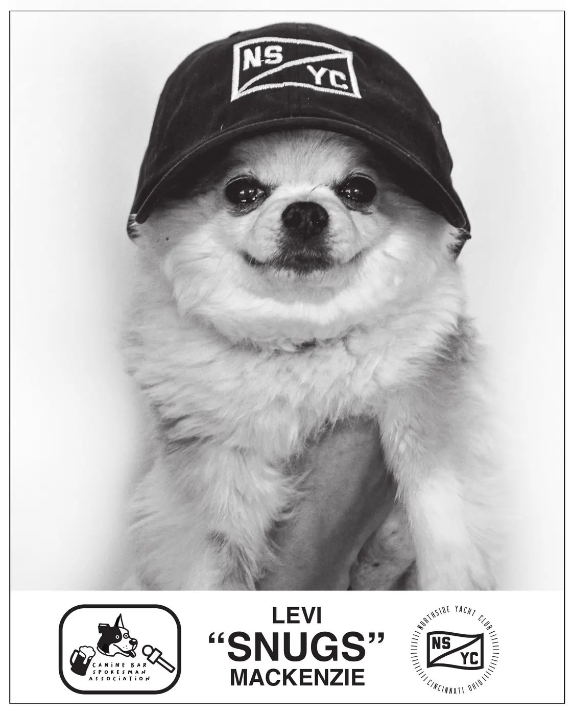 Levi 'Snugs' Mackenzie — official Canine Bar Spokesman certificate, awarded by CityBeat Best of Cincinnati