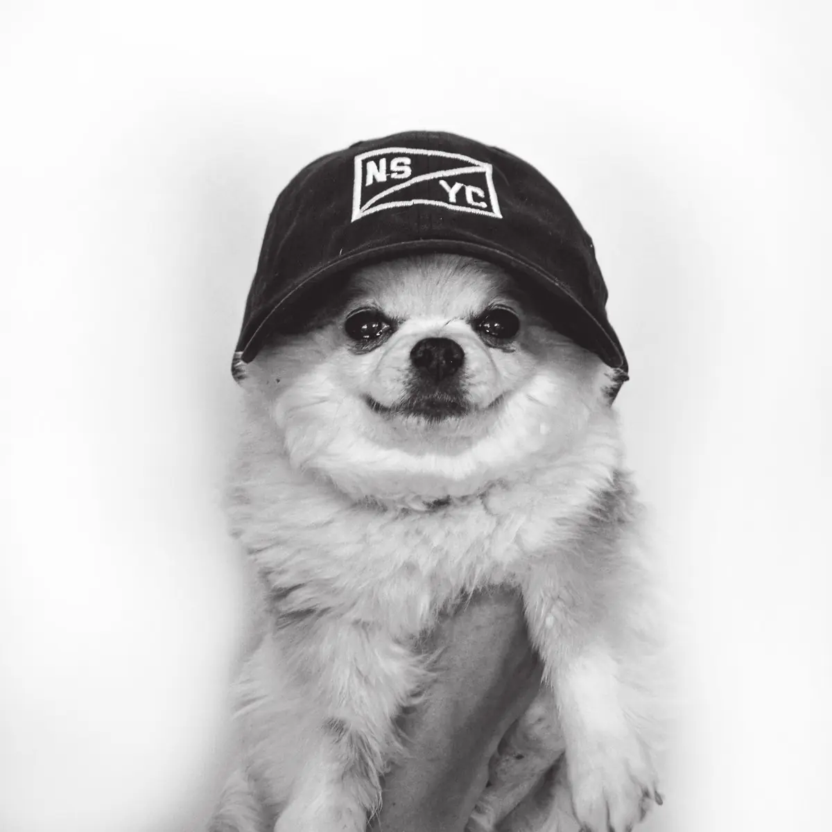 Snugs Mackenzie — CityBeat Best Unofficial Canine Bar Spokesman